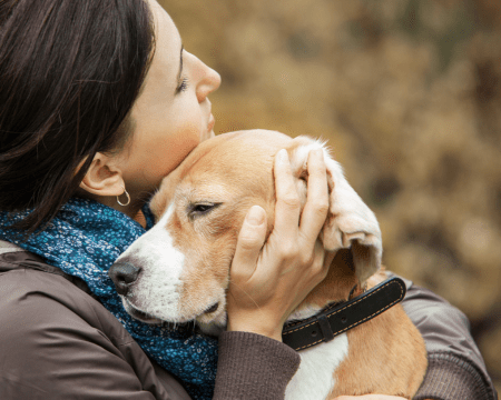 🎄 The Best Personalized Jewelry Gifts for Dog & Cat Parents This Christmas 2025 - myLoveSparks Jewelry & Gifts